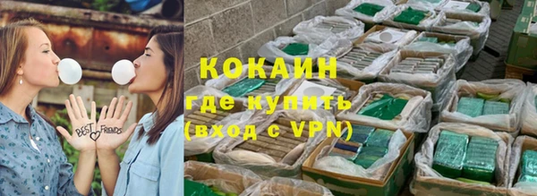 шишки Беломорск