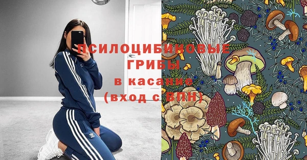кокс Белокуриха