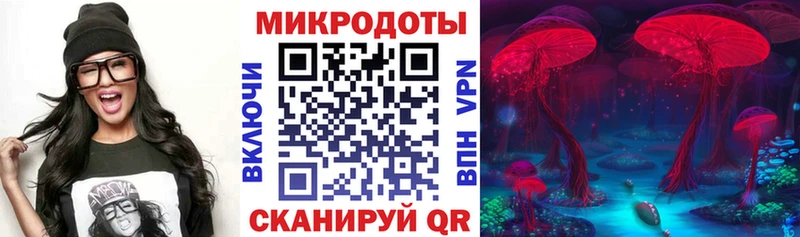 Псилоцибиновые грибы мухоморы omg Кунгур